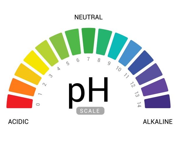 ph-scale-indicator-chart-diagram-acidic-alkaline-vector-26165228 ph-scale-indicator-chart-diagram-acidic-alkaline-vector-26165228